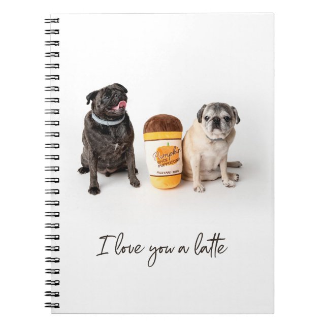 Je T'Aime Un Carnet De Carlin Latte (Devant)
