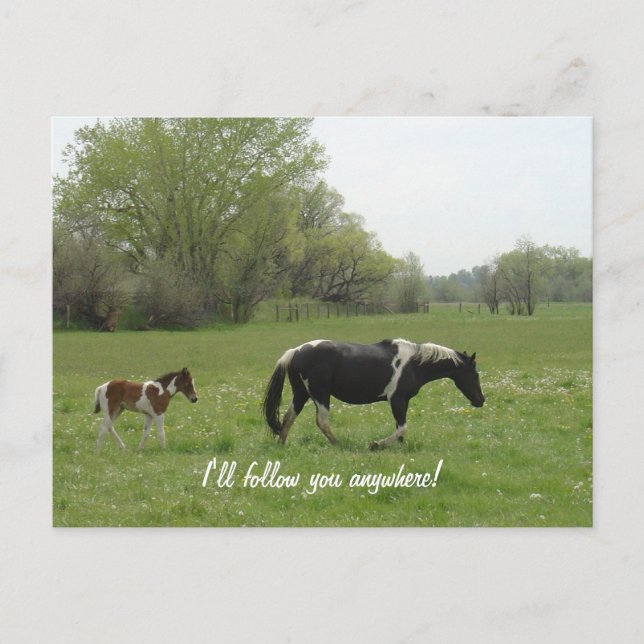 Je te suivrai Carte Postale (Devant)