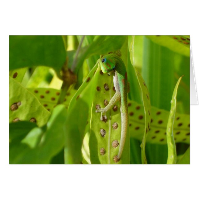 Je Te Vois (Devant Horizontal)