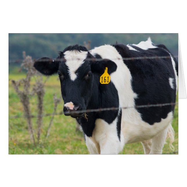 Je Te Vois (Devant Horizontal)