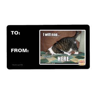 Je vais faire la sieste ici