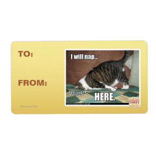 Je vais faire la sieste ici