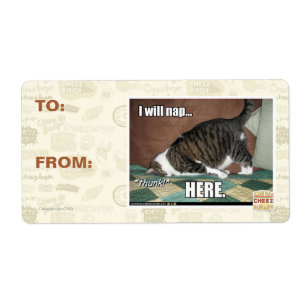 Je vais faire la sieste ici