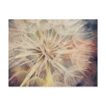 Je Veux... - Carte postale