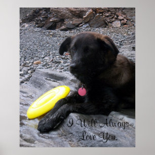 Je vous aimerai toujours affiche