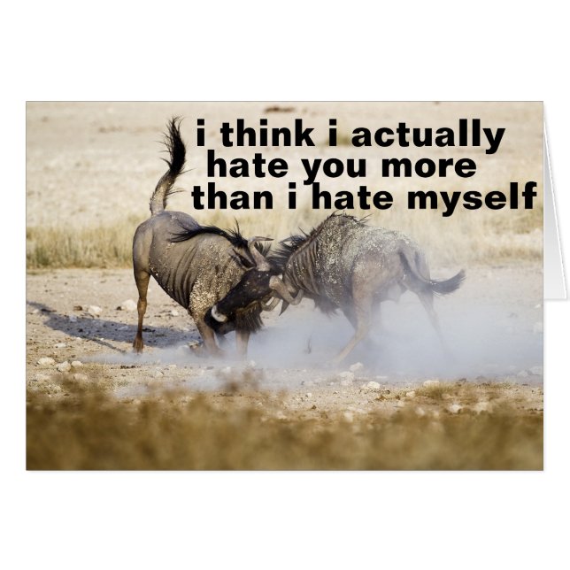 je vous déteste beaucoup (Devant Horizontal)