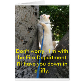 Je vous ferai descendre en un clin d'oeil.