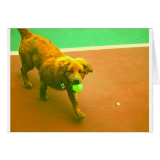 "Je vous jouerai n'importe quand ! "