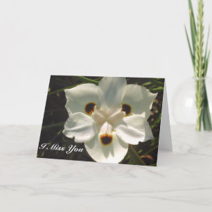 Je Vous Manque / Toute Occasion_ Carte