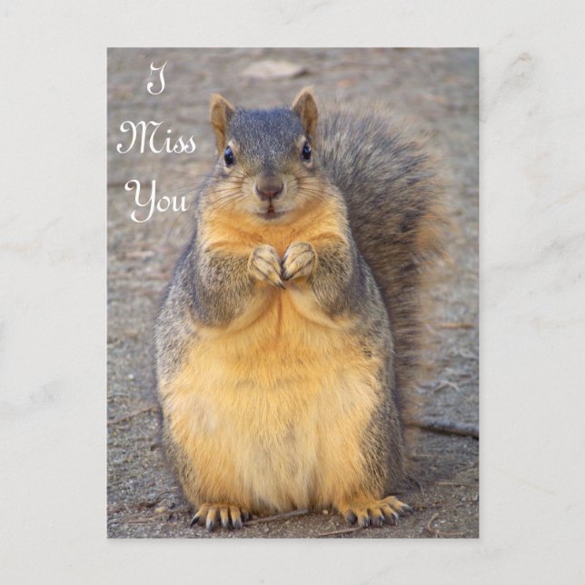 Je Vous Manque / Toutes Occasions_ Carte Postale (Devant)
