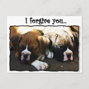 Je vous pardonne boîte chiots carte postale