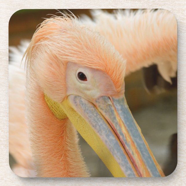 Je vous regarde Dessous de verre de cork pélican (Devant)