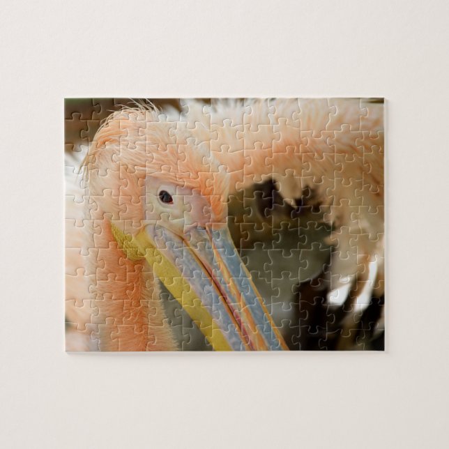 Je vous regarde Pélican Puzzle (Horizontal)