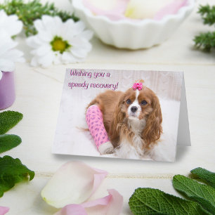 Je Vous Souhaite Une Carte Spaniel De Récupération