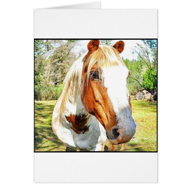 Je vous vois ! (Devant)