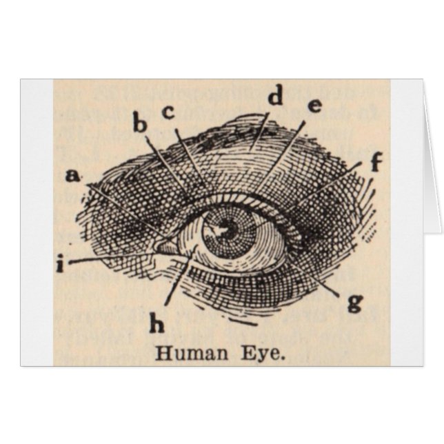 Je vous vois (Devant horizontal)