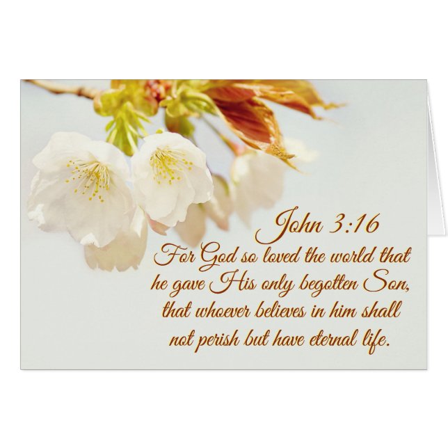 Jean 3:16 Dieu a tant aimé le monde, Carte des Écr (Devant horizontal)
