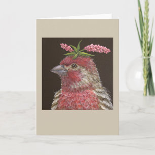 Jeb the house finch greeting card