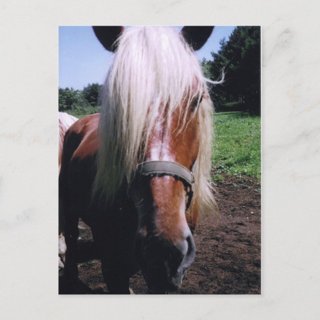 Jeff Postcard (Front)