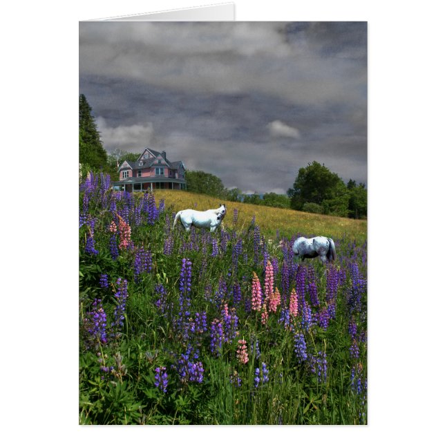 Jefferson Lupine Mindscape (Front)