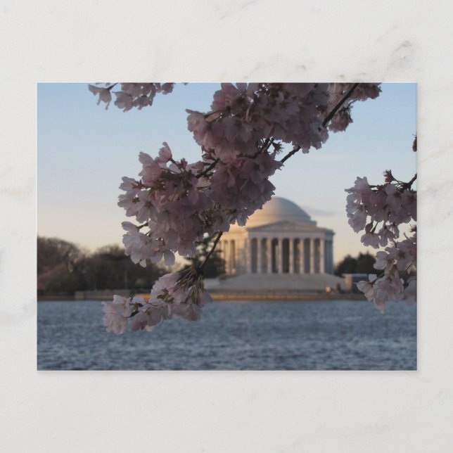 Jefferson Memorial Postcard (Front)