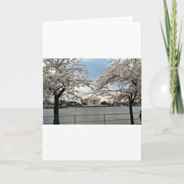Jefferson Memorial Washington DC Cherry Blossoms Card (Front)