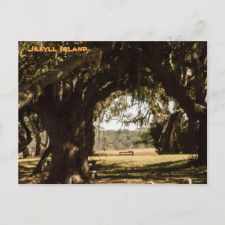 Jekyll Island Pathway to the Marsh Postcard