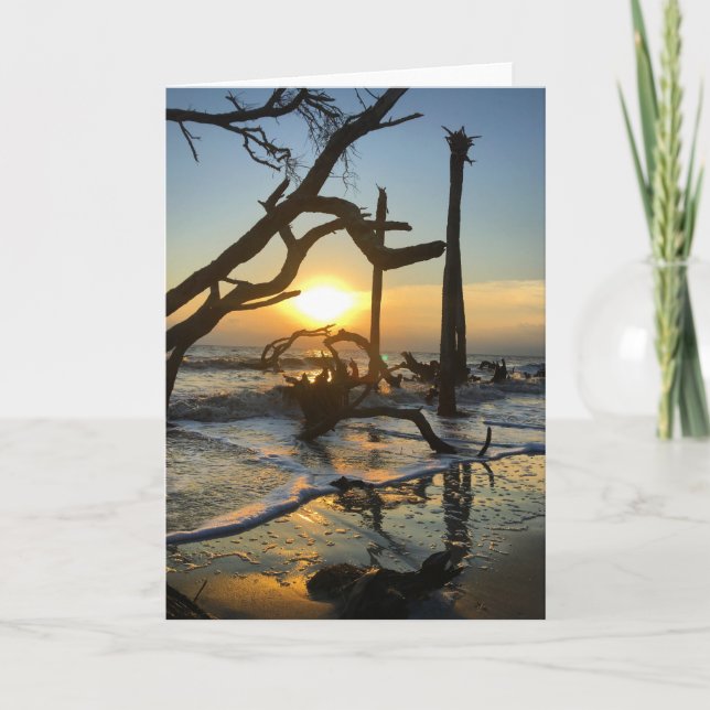 jekyll island sunrise card #4 (blank inside) (Front)
