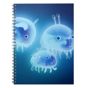 Jelly fish 2013 notebook