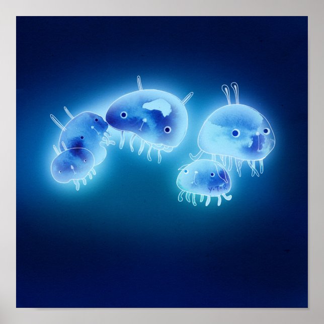 Jelly fish 2013 poster (Front)