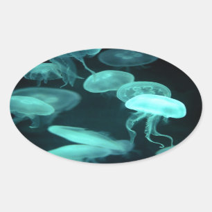jelly fish glowing oval sticker