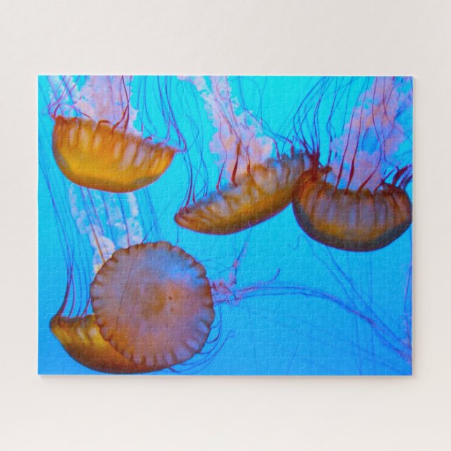 Jelly Fish Jigsaw Puzzle (Horizontal)