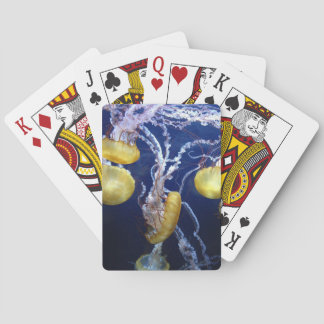 Jelly Fish Playing Cards