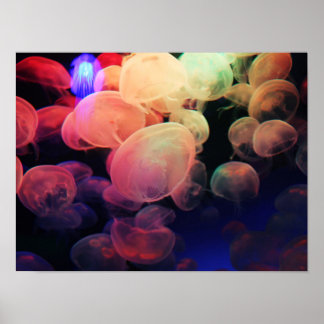 Jelly Love Poster