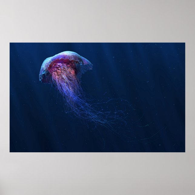 Jelly Poster (Front)
