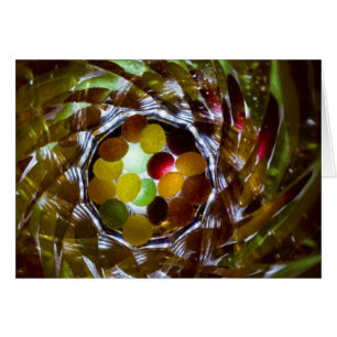 jelly tots 2