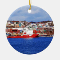 Jellybean Houses In St. John's