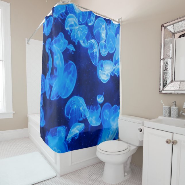 Jellyfish (In Situ)