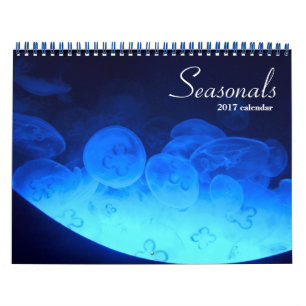 Jellyfish 2017 wall calendar