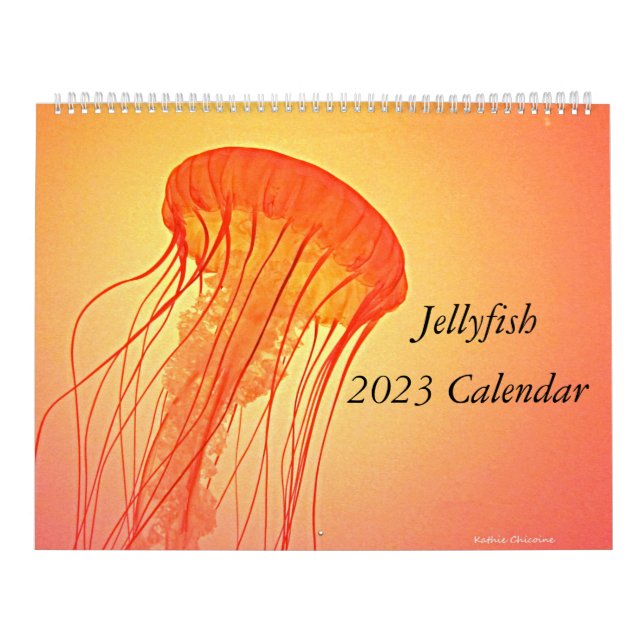 Jellyfish 2023 Calendar (Cover)