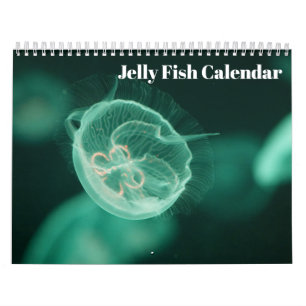 Jellyfish 2026 calendar