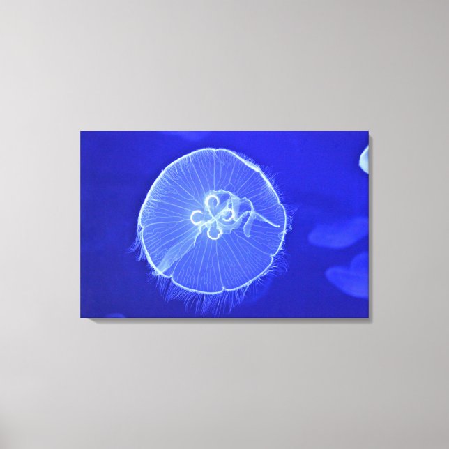 Jellyfish 2 canvas print (Front)