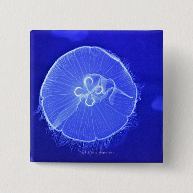 Jellyfish 2 Inch Square Button (Front)