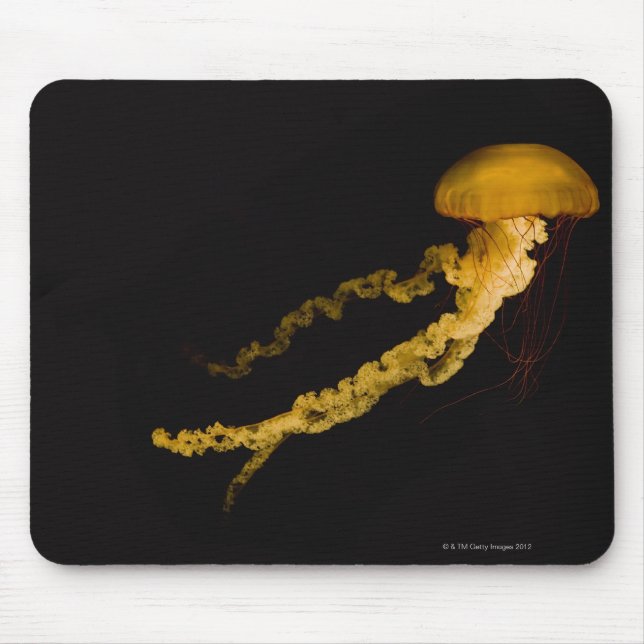 Jellyfish 2 mouse pad (Front)