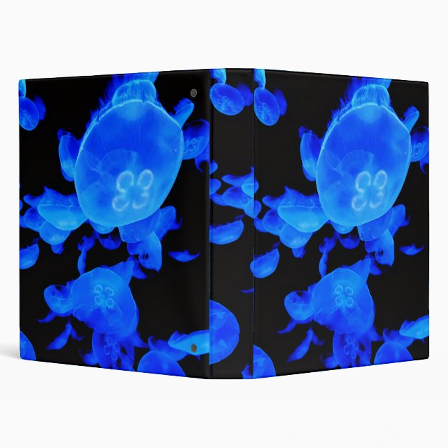 Jellyfish binder (Background)
