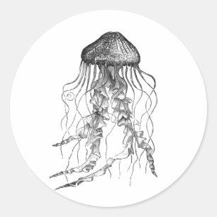 Jellyfish Black and White Pencil Sketch Design Classic Round Sticker