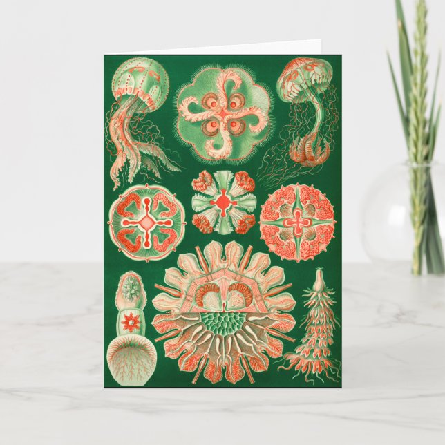 Jellyfish Card (Front)