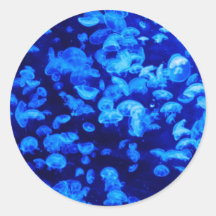 Jellyfish Classic Round Sticker