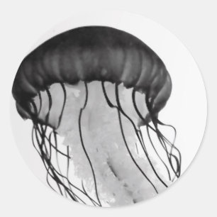 Jellyfish Classic Round Sticker