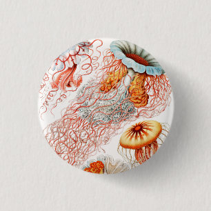 Jellyfish, Discomedusae by Ernst Haeckel 1 Inch Round Button